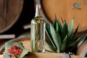 Lee más sobre el artículo Aguascalientes Solicita Modificar la Declaración General de Protección de la Denominación de Origen Mezcal