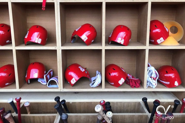 Lee más sobre el artículo EL IMPI Y LA DISPUTA POR LA MARCA «LIGA MEXICANA DE BEISBOL»