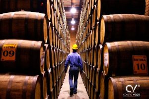 Lee más sobre el artículo TEQUILA RENUEVA REGISTRO DE MARCA EN LA UE