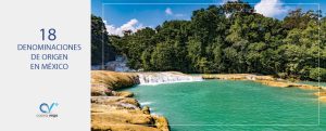 Lee más sobre el artículo ¡MÉXICO YA TIENE 18 DENOMINACIONES DE ORIGEN!